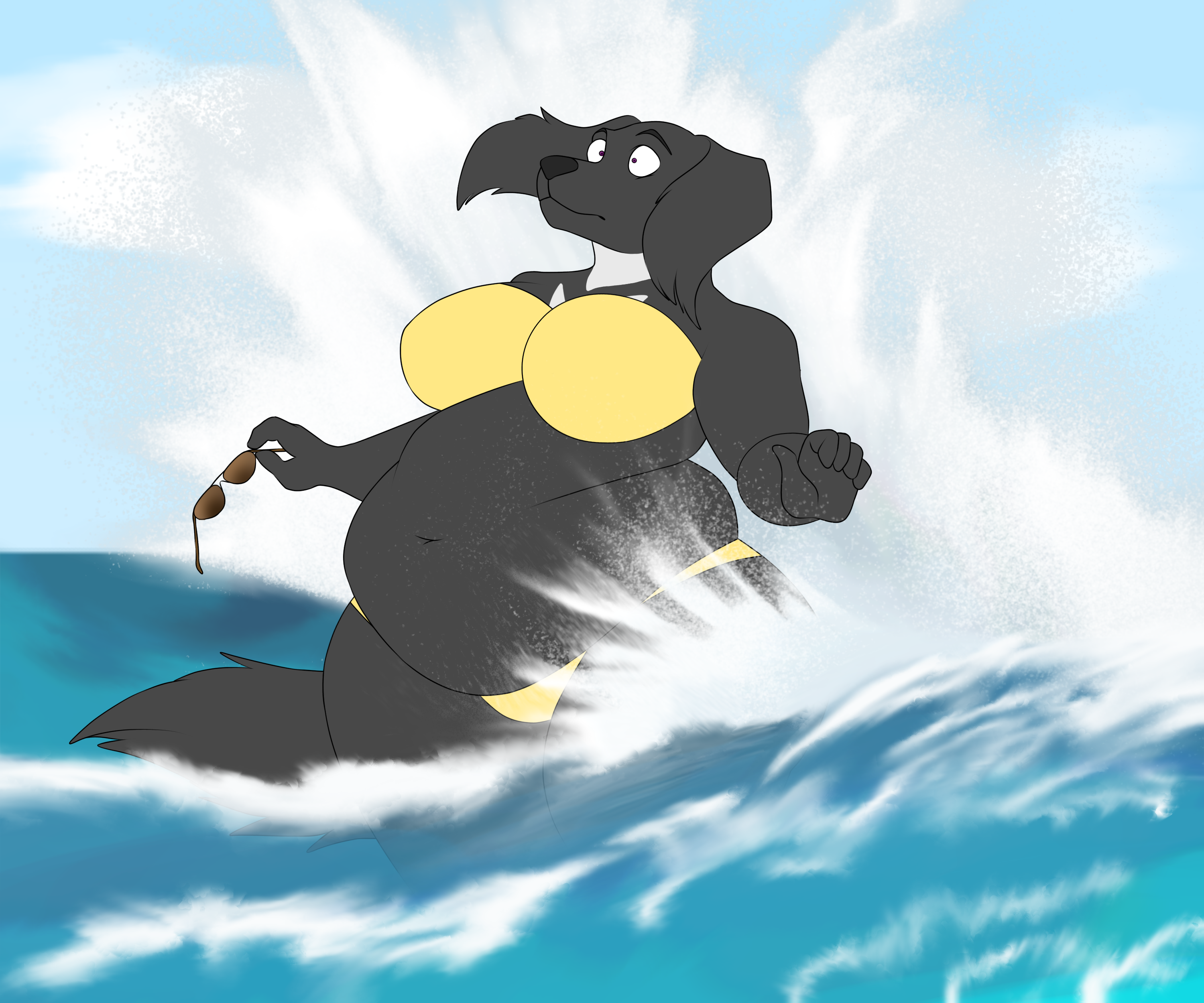 A black female Labrador retriever with wide hips, a fat belly, and full breasts is trying to pose in thigh-deep water, but a tall wave blasts her from behind, to her surprise and shock.