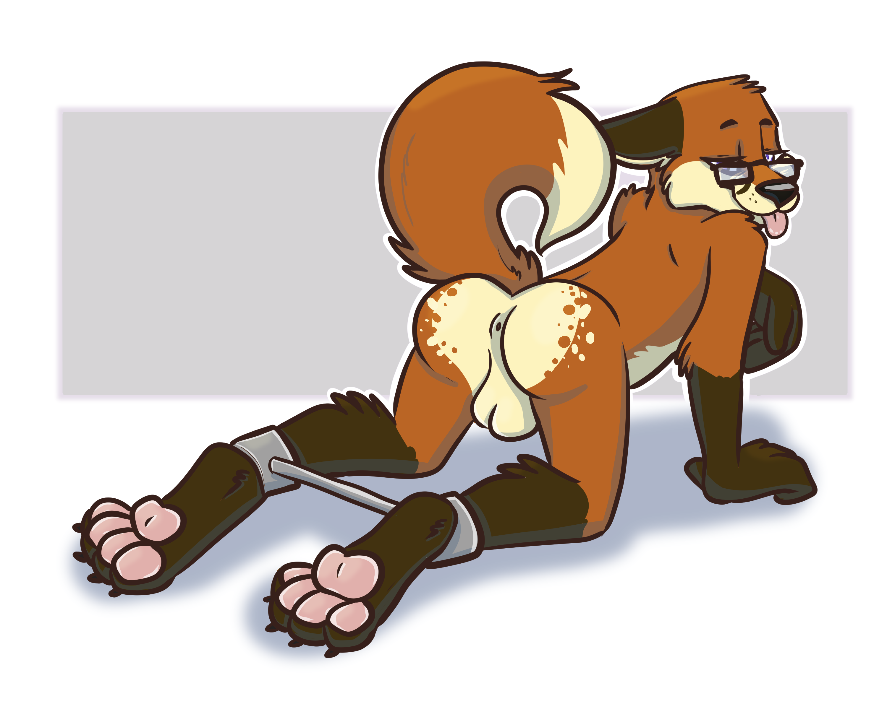 An anthropomorphic red fox poses on forepaws and knees, tail raised, a teasing tongue sticking out his mouth. He wears a pair of black rectangular glasses and a spreader bar between his ankles to force his legs apart. The back of his ballsack and his hole are clearly visible.