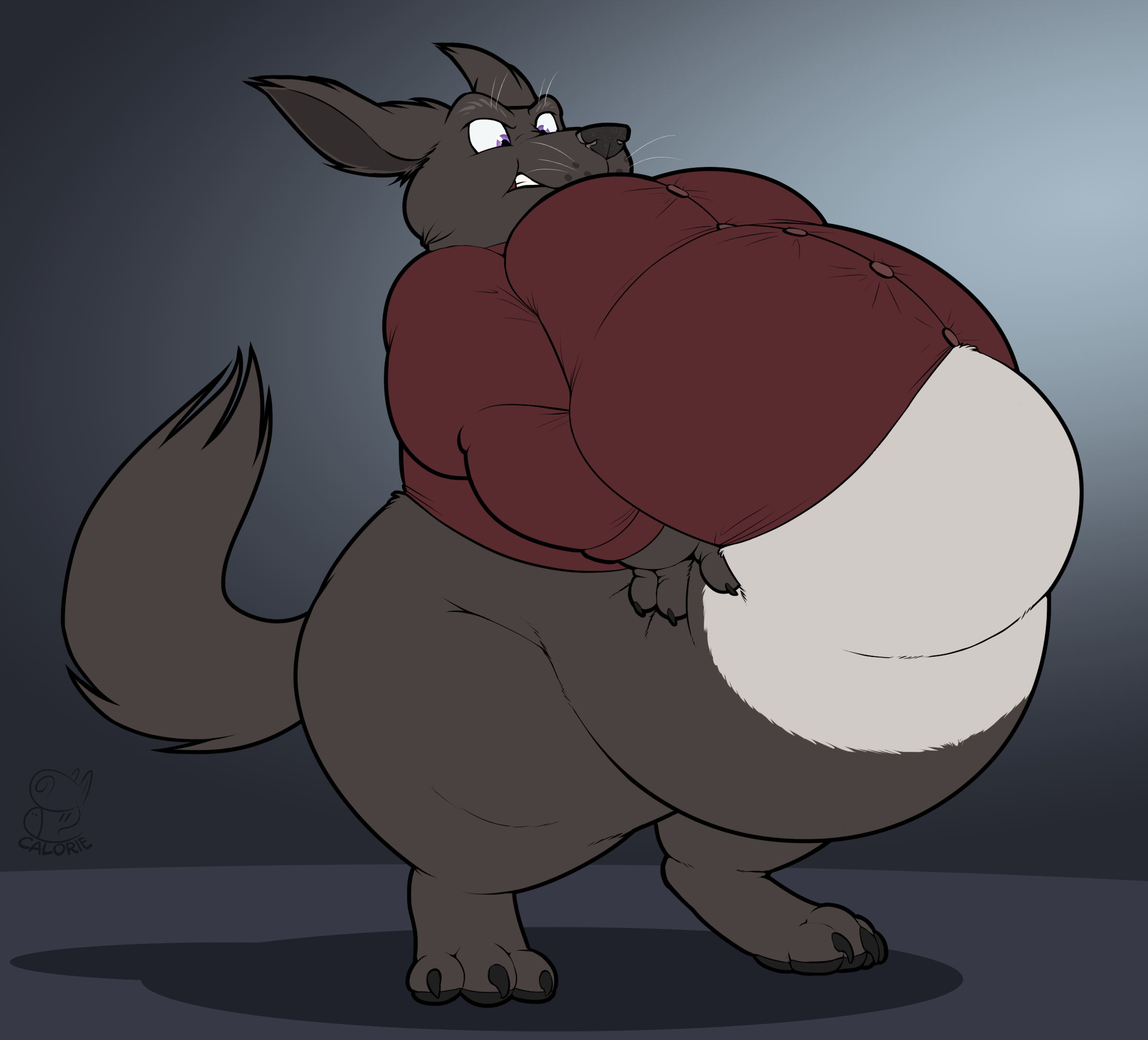 Buddy is a superfat anthro Labrador retriever with black fur, a white belly, and a burgundy button-down shirt that is about to pop open. He takes a wide stance and grips what he can reach of his enormous belly. He gives an immense effort which whips his ears and tail around, but he absolutely cannot stuff his gut back up into his shirt.