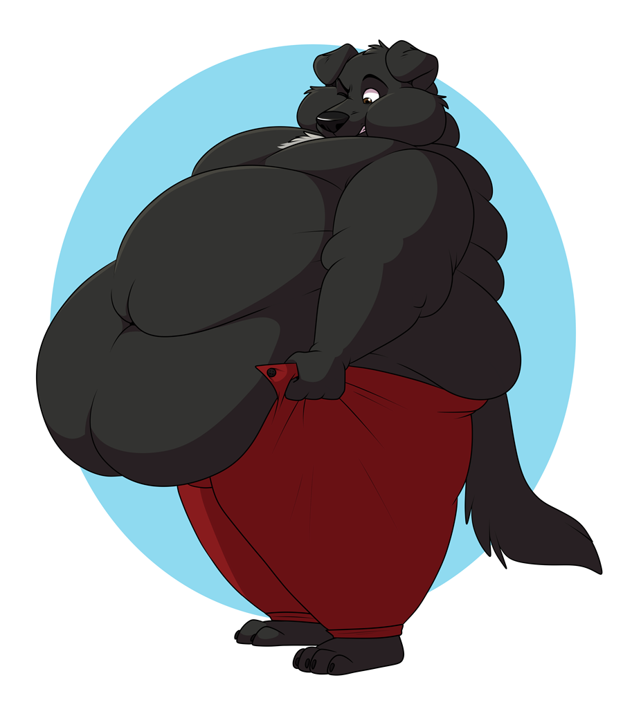 A cel-shaded color digital art piece. Buddy is a super fat anthropomorphic Labrador retriever, with black fur and a white chest ruff, back rolls, bingo wings, fat cheeks, but most of all, an enormous double belly which refuses to be contained by Buddy&rsquo;s bright red pants.