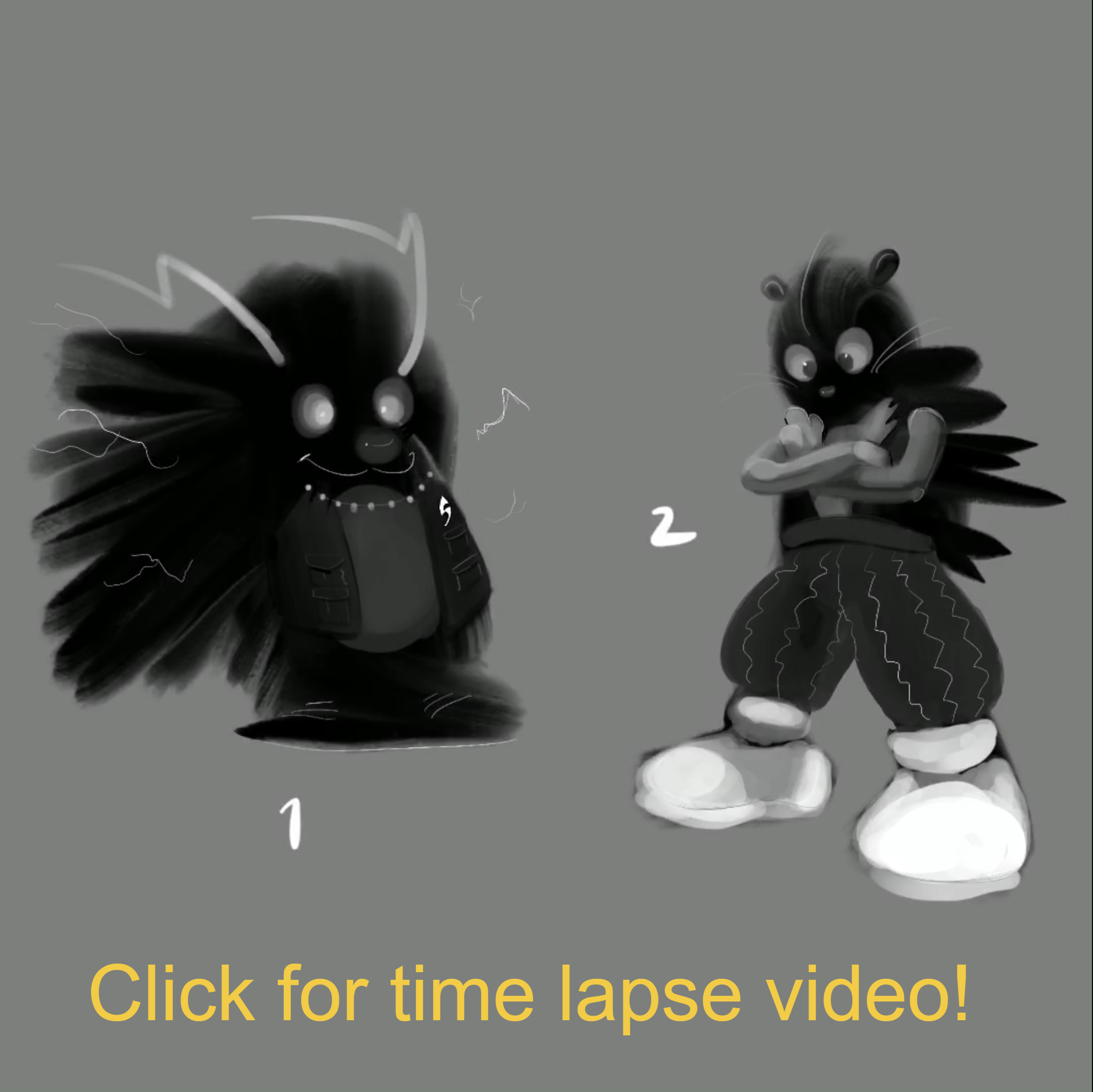 A time lapse video of the entire process.