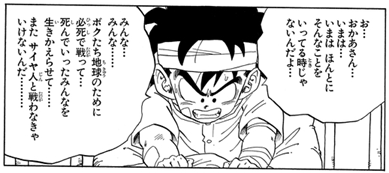 Son Gohan blames himself for Piccolo's death--he believes he wasn't\nstrong, brave, or smart enough to defend himself, forcing Piccolo to\nsacrifice himself.