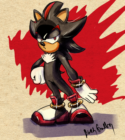 Shadow the Hedgehog stares disdainfully at you.