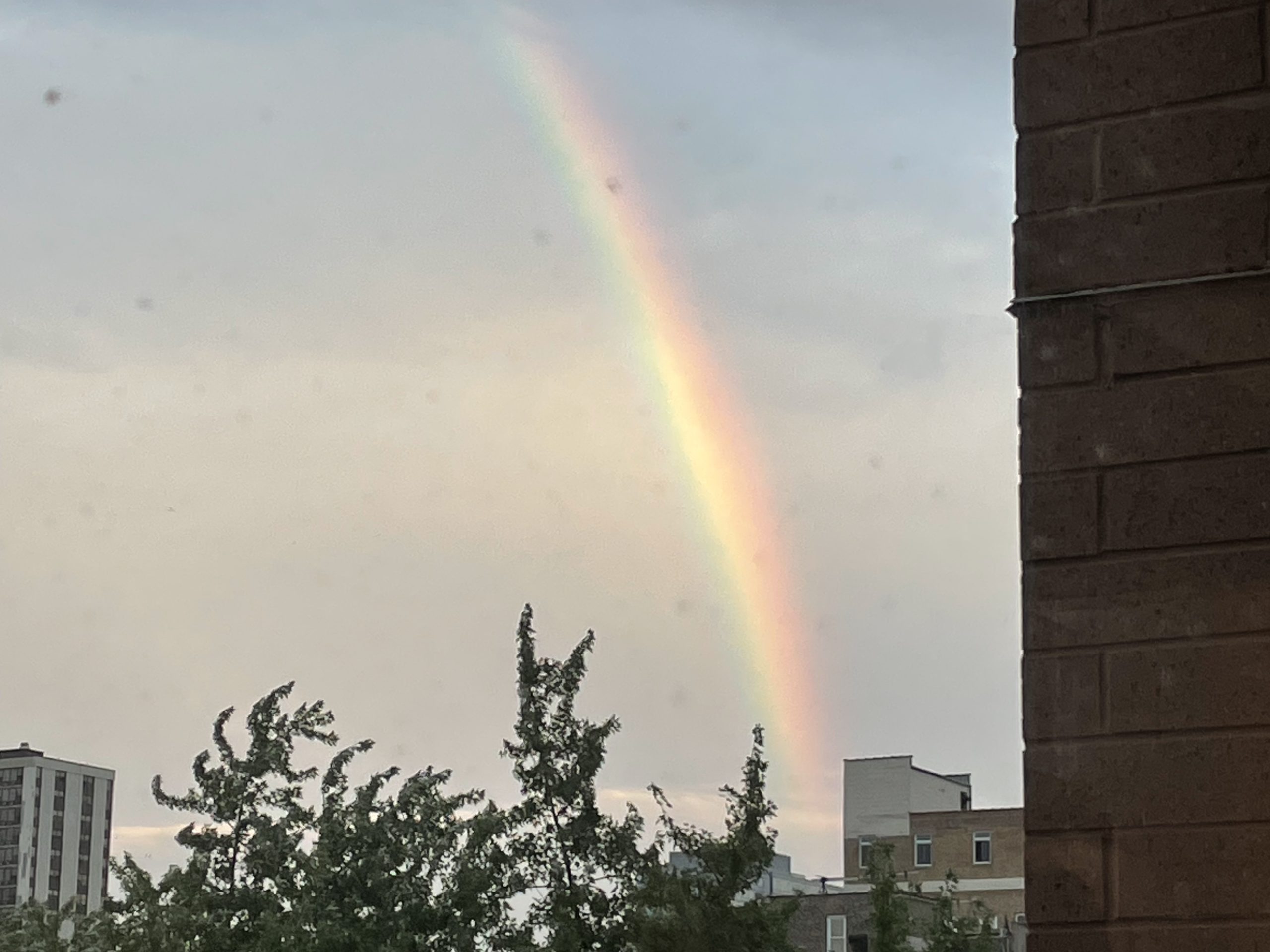 A big old rainbow I found after a storm last year.