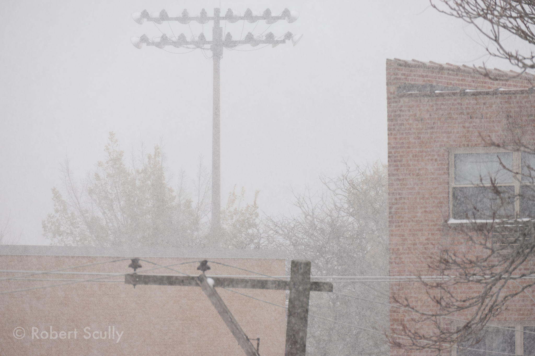 The snowfall is really impeding visibility; a small tower maybe a quarter-mile away is barely visible.